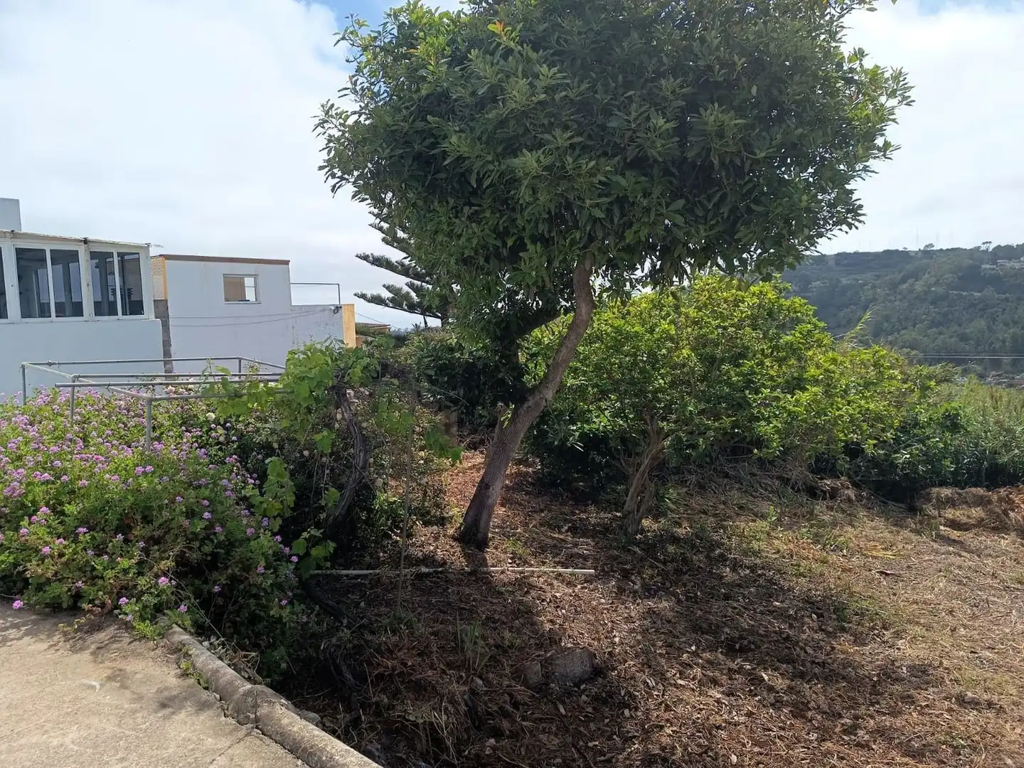 House with garden for sale in Los Peñones, imagen 25