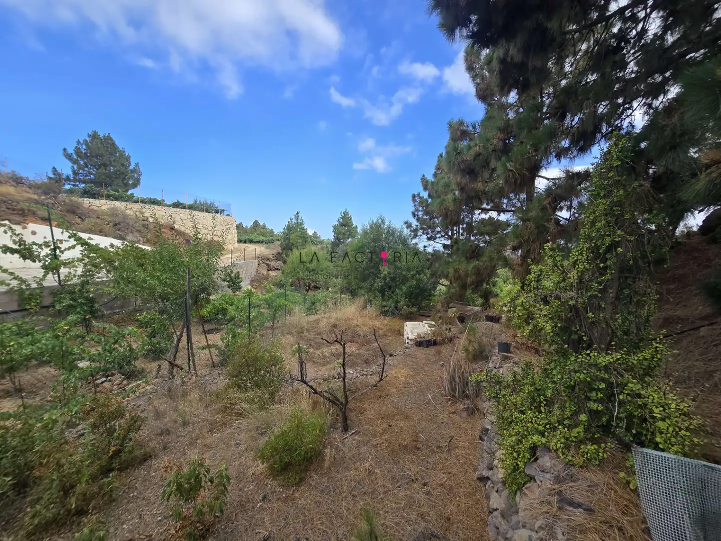Terreno en venta en Cruz de Tea