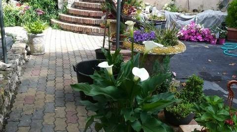 Foto 3 de Edifici en venda a Barrios Bajos - La Horta, Zamora