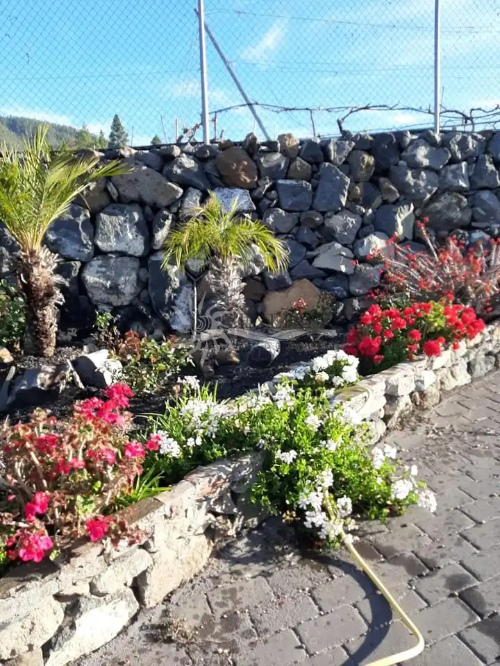 Jardí de Finca rústica en venda en Granadilla de Abona amb Jardí privat i Terrassa