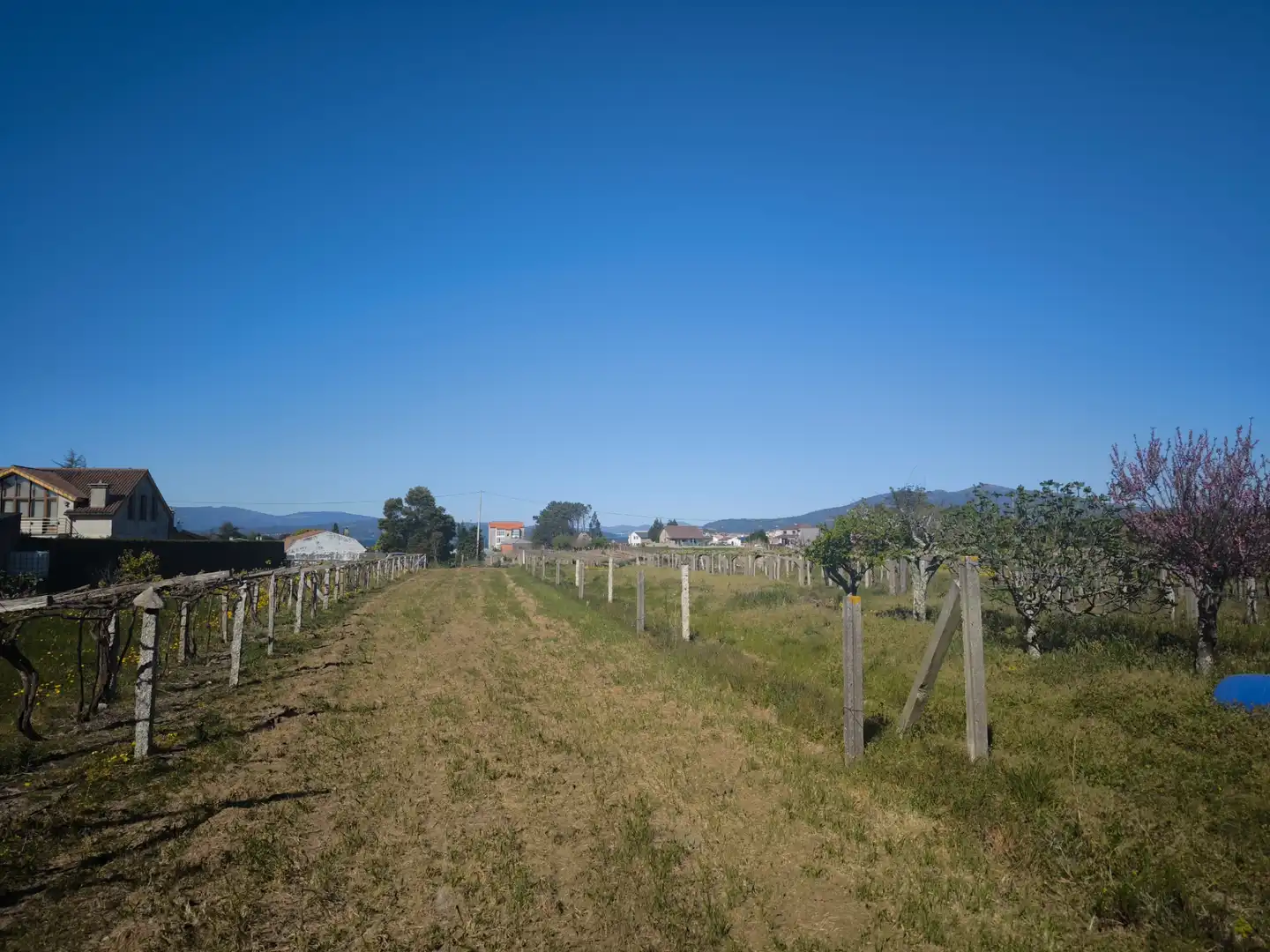 Residential for sale in Vilanova de Arousa