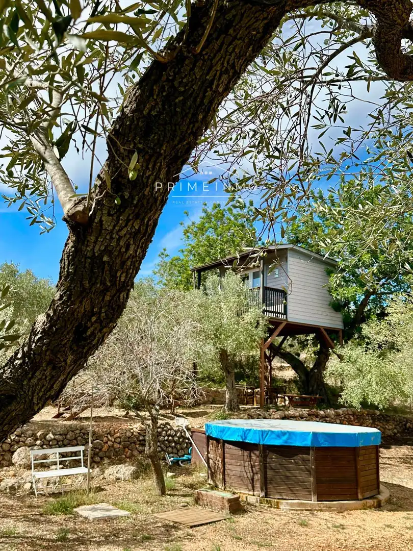 Vista exterior de Finca rústica en venta en Camarles con Calefacción, Terraza y Trastero