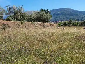 Terreni e lotti in vendita a Jarandilla de la Vera, imagen 10