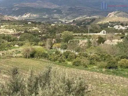 Casa rustica in vendita a El Valle, imagen 6