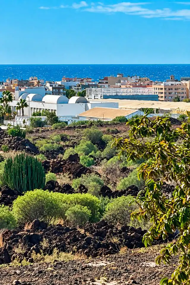 Exterior view of Houses for sale in Las Rosas