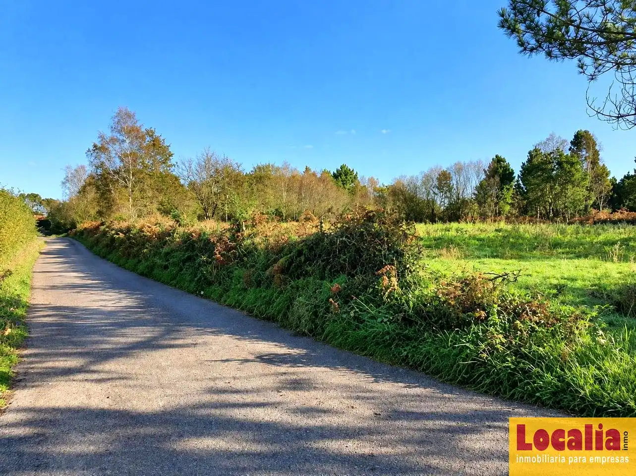 Terrenos y solares en venta en Oviñana, imagen 13