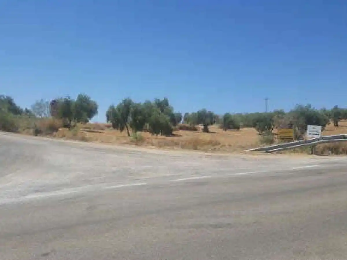 Terreni e lotti in vendita a Siles, imagen 4