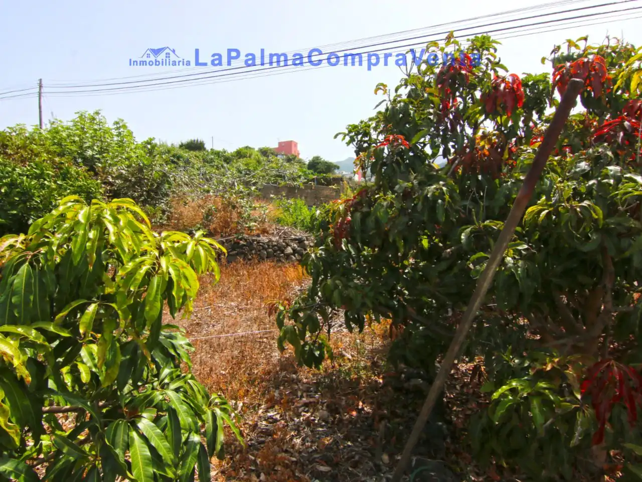 Terreno en venta en San Andrés y Sauces