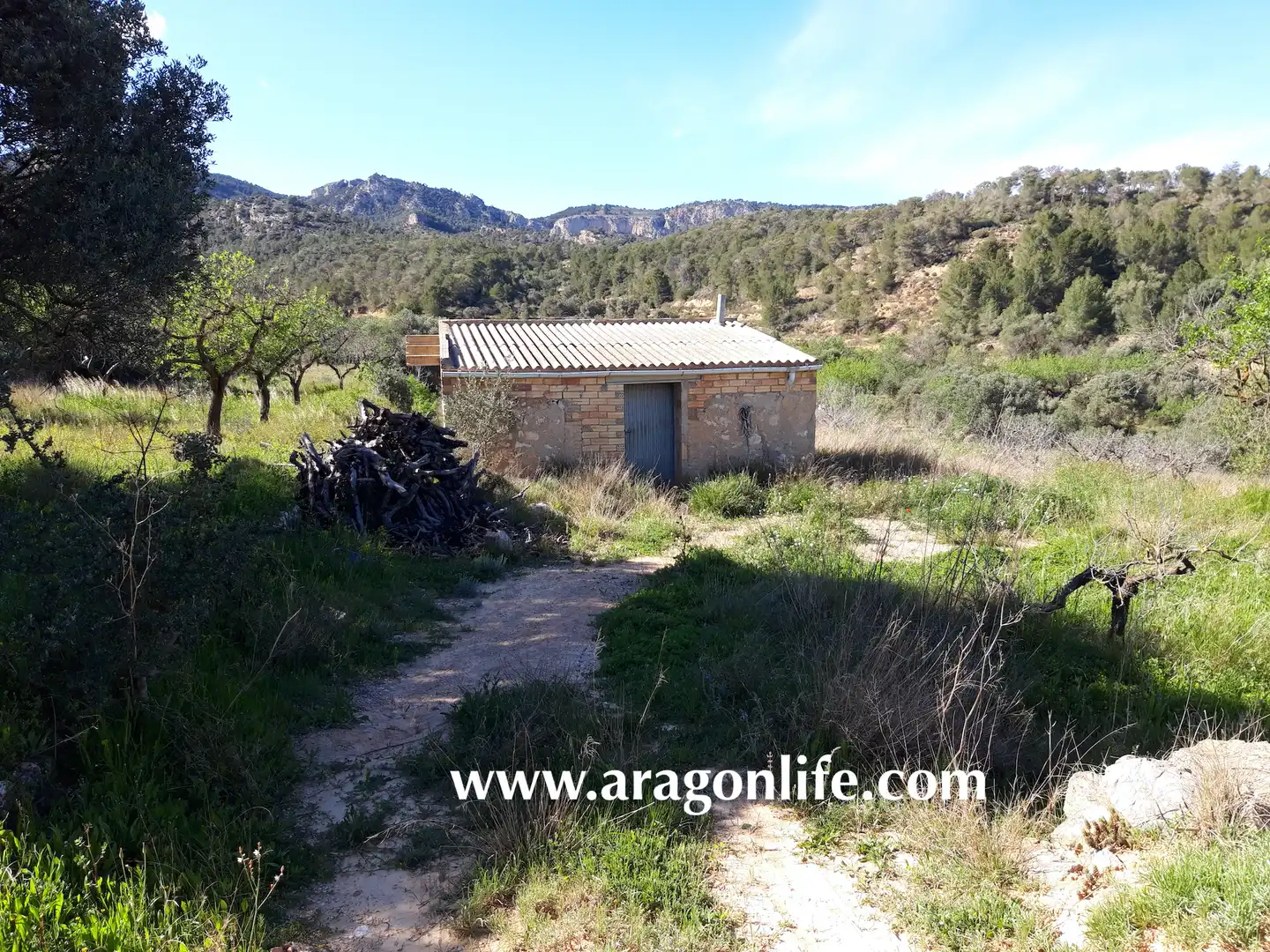 Country homes for sale in El Pinell de Brai