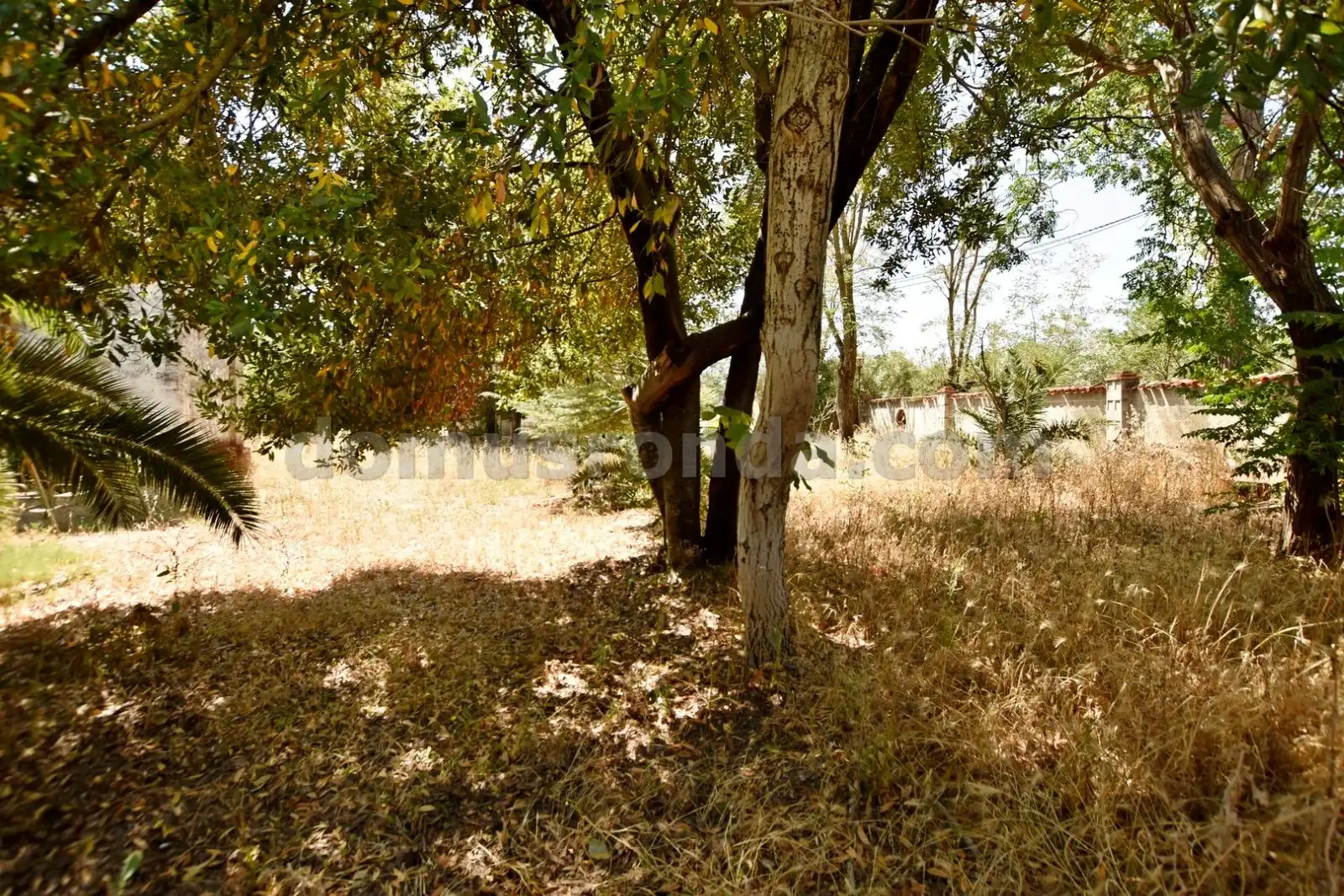 Casa rústica en venda a El Fuerte - La Dehesa, imagen 15