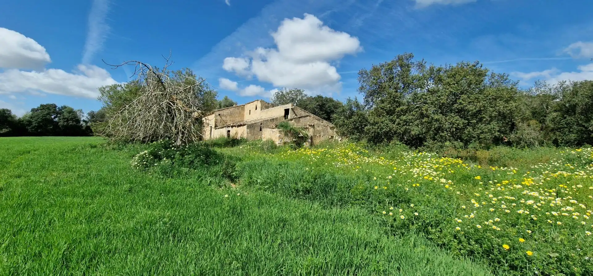Country homes for sale in Manacor