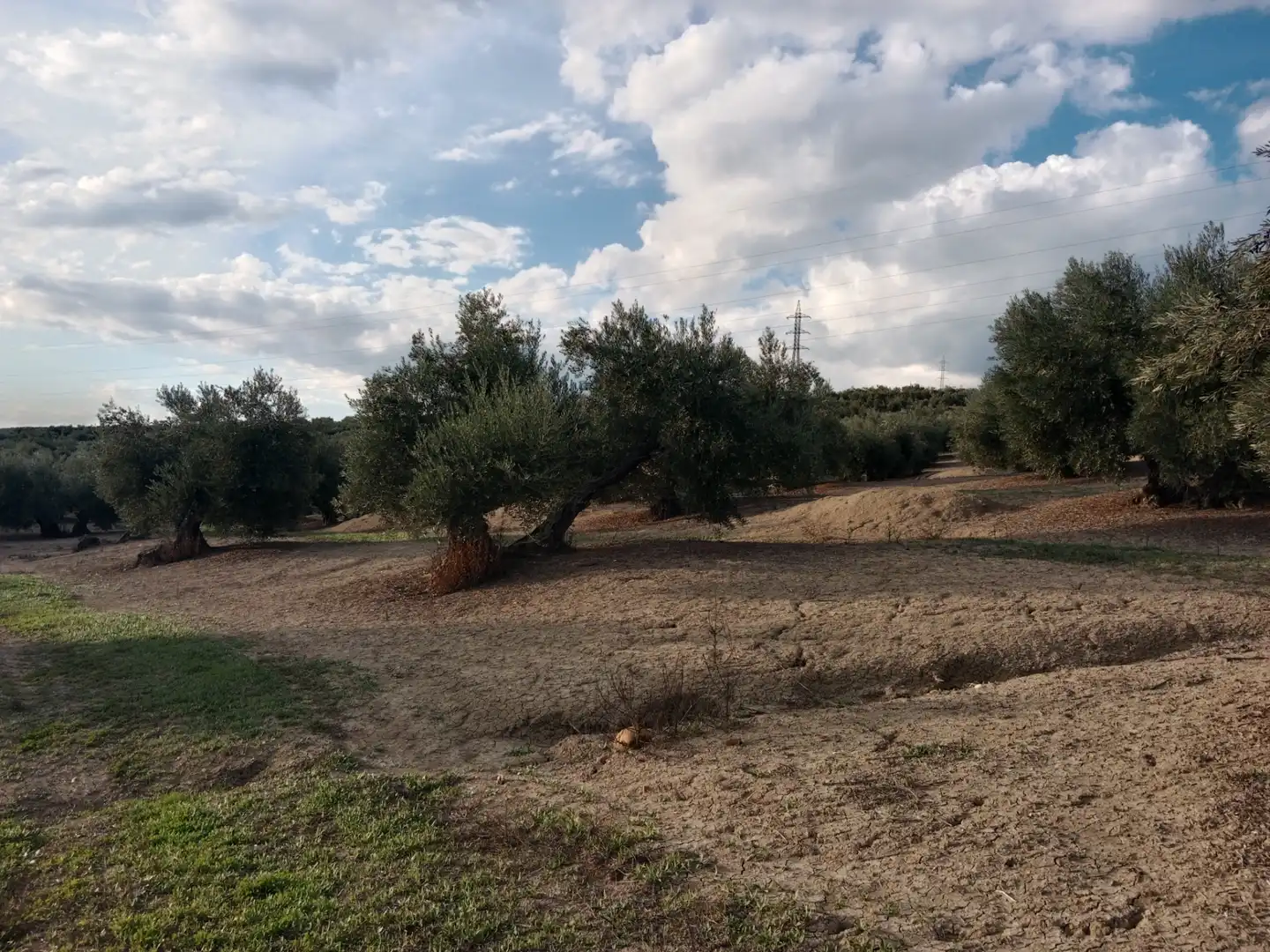 Terreni e lotti in vendita a Andújar