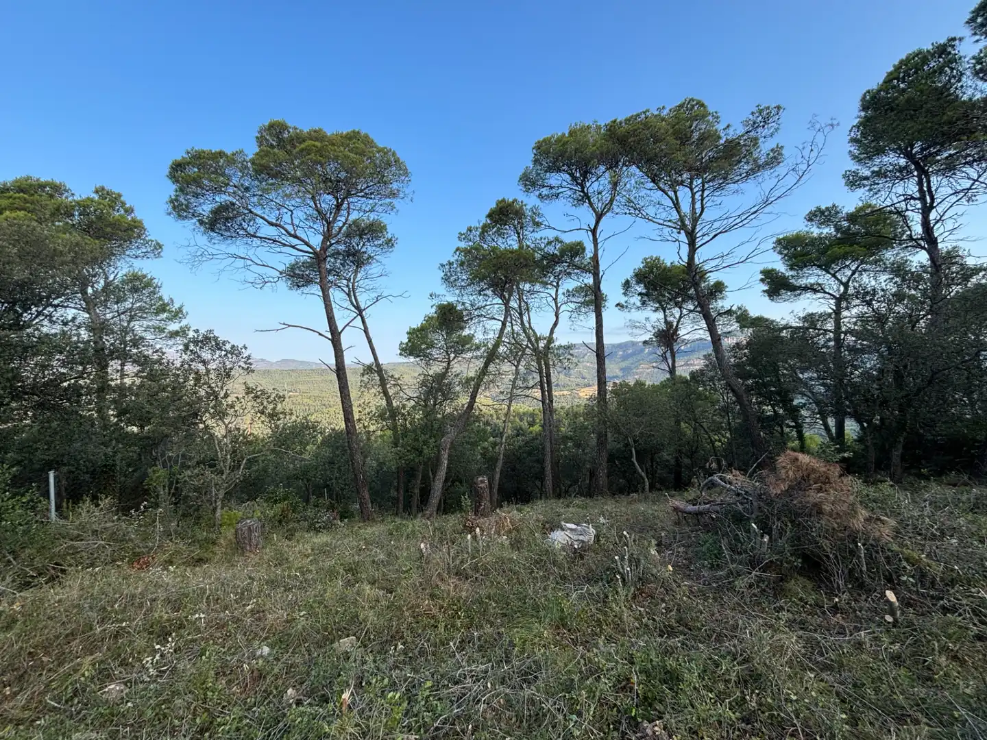 Residential land for sale in Carrer Pasarell, imagen 12