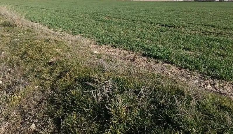 Lands and plots for sale in Villacañas