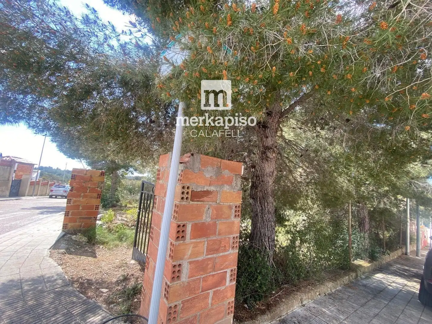 Terreny rústic en venda a Valldemar - Montmar, imagen 5