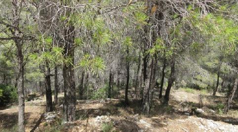 Photo 5 of Residential for sale in Principal de la Sierra, 113b, -1, Altea Hills, Altea