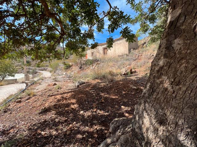 Finca rústica en Venta en Gualchos pueblo