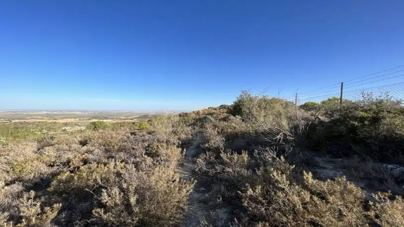 Finca rústica en venta en San Antonio O Guardarropa Pol 115.par 8,9 y 15, Osuna