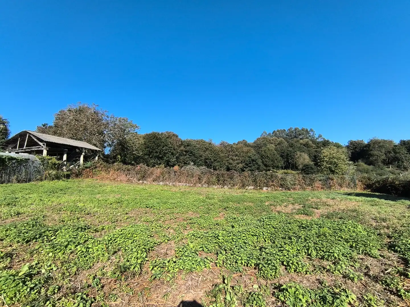 Terreno residencial en venta en Bergondo, imagen 13
