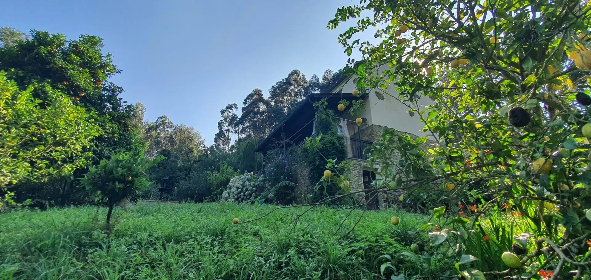 Vista exterior de Casa o chalet en venta en Castropol con Calefacción, Jardín privado y Terraza