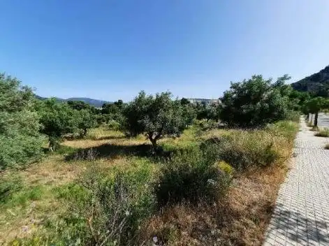 Lands and plots for sale in Partida SECTOR SOLANA 1, imagen 4