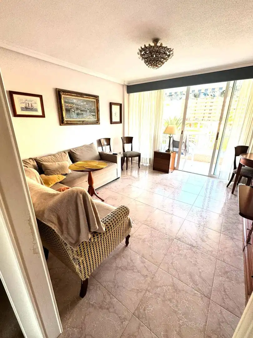 Sala d'estar de Apartament de lloguer en Alicante / Alacant amb Jardí privat, Terrassa i Moblat