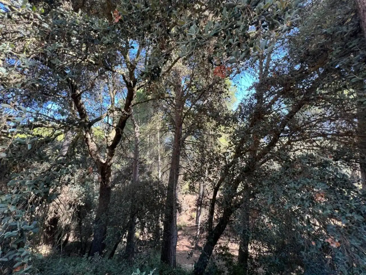 Chalet en venta en Banyeres de Mariola, imagen 33