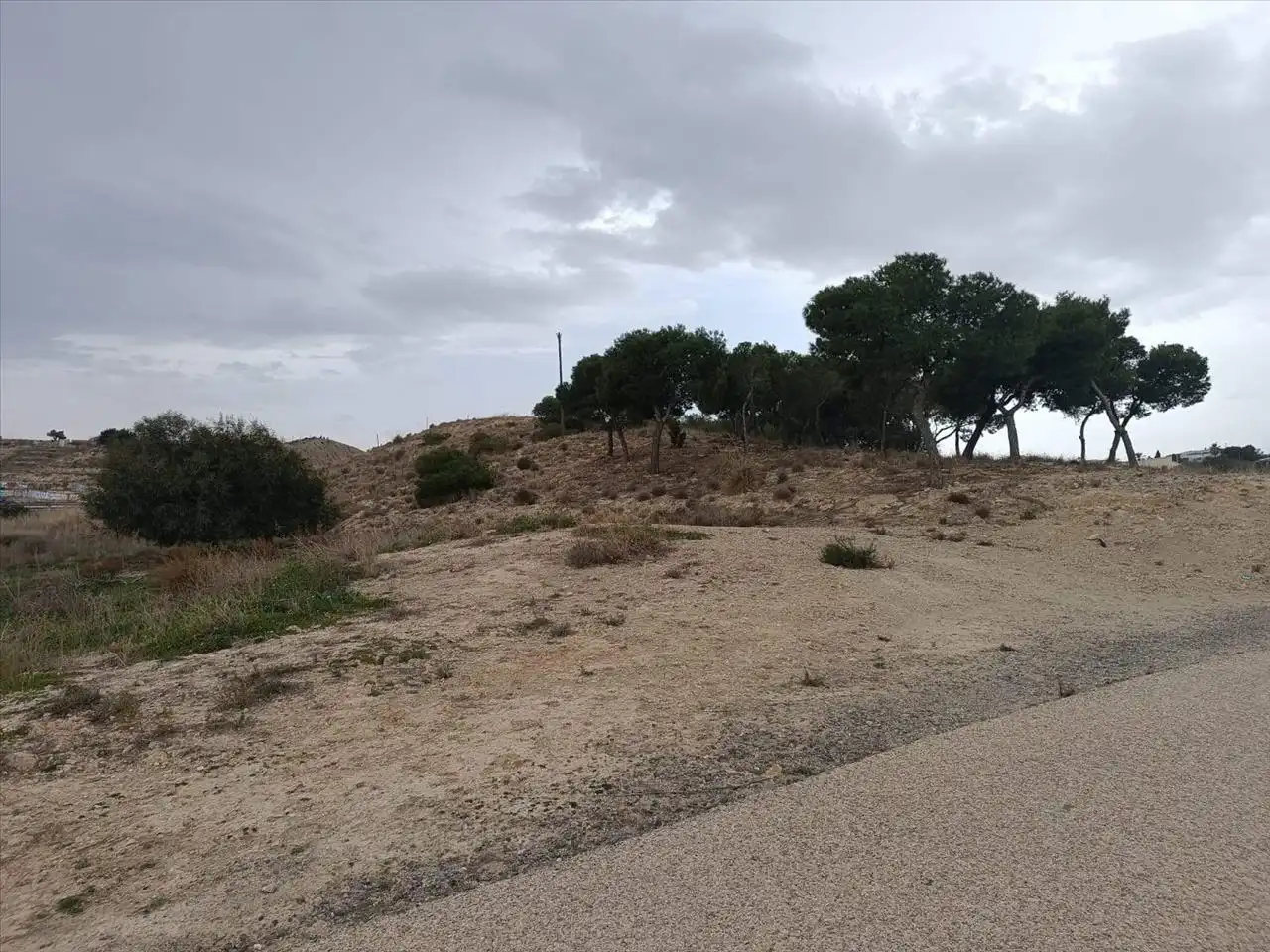Terreno rustico in vendita a Polígono 9 Parcela 77 SECANET, 0, imagen 10