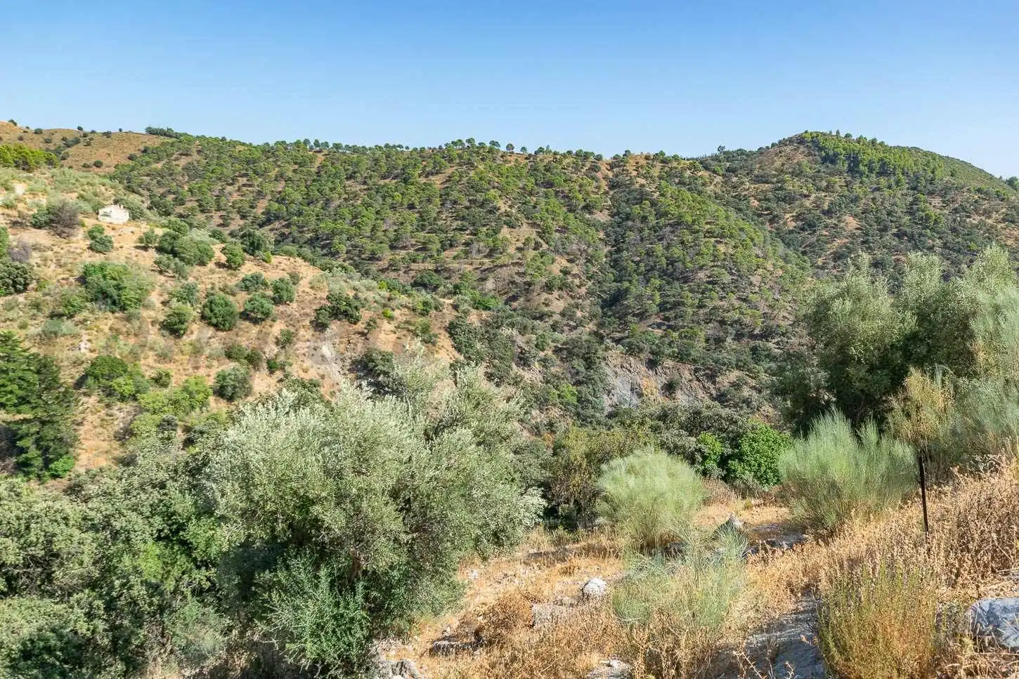 Terreno rustico in vendita a Salares, imagen 6