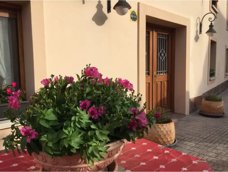 Garden of Detached homes for sale in Vitoria - Gasteiz  with Heating, Swimming Pool and Jacuzzi
