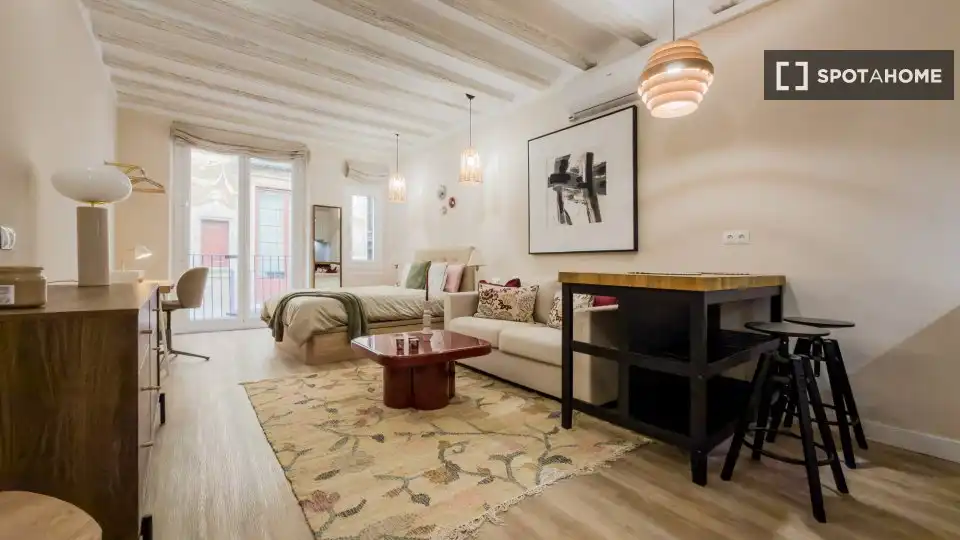 Flat with terrace to rent in Ciutat Vella