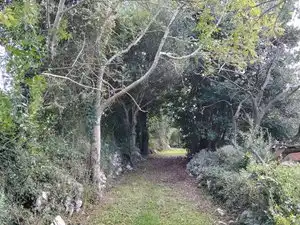 Terrain résidentiel à vendre à Aldea Bones, imagen 7