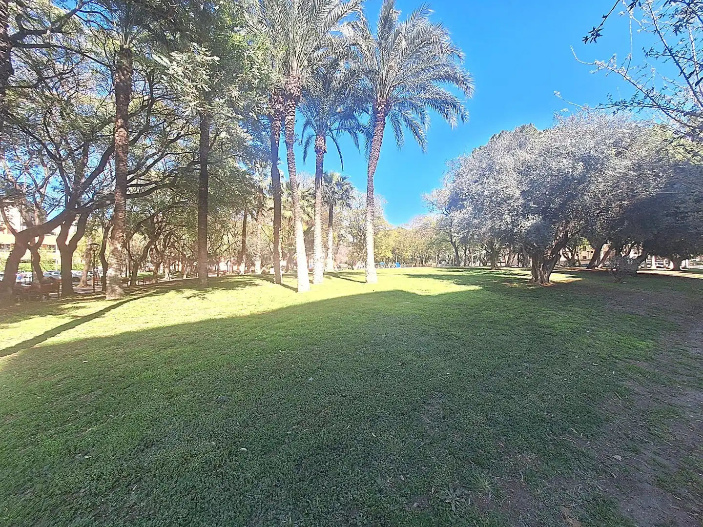 Piso de alquiler en Santa María de Gracia