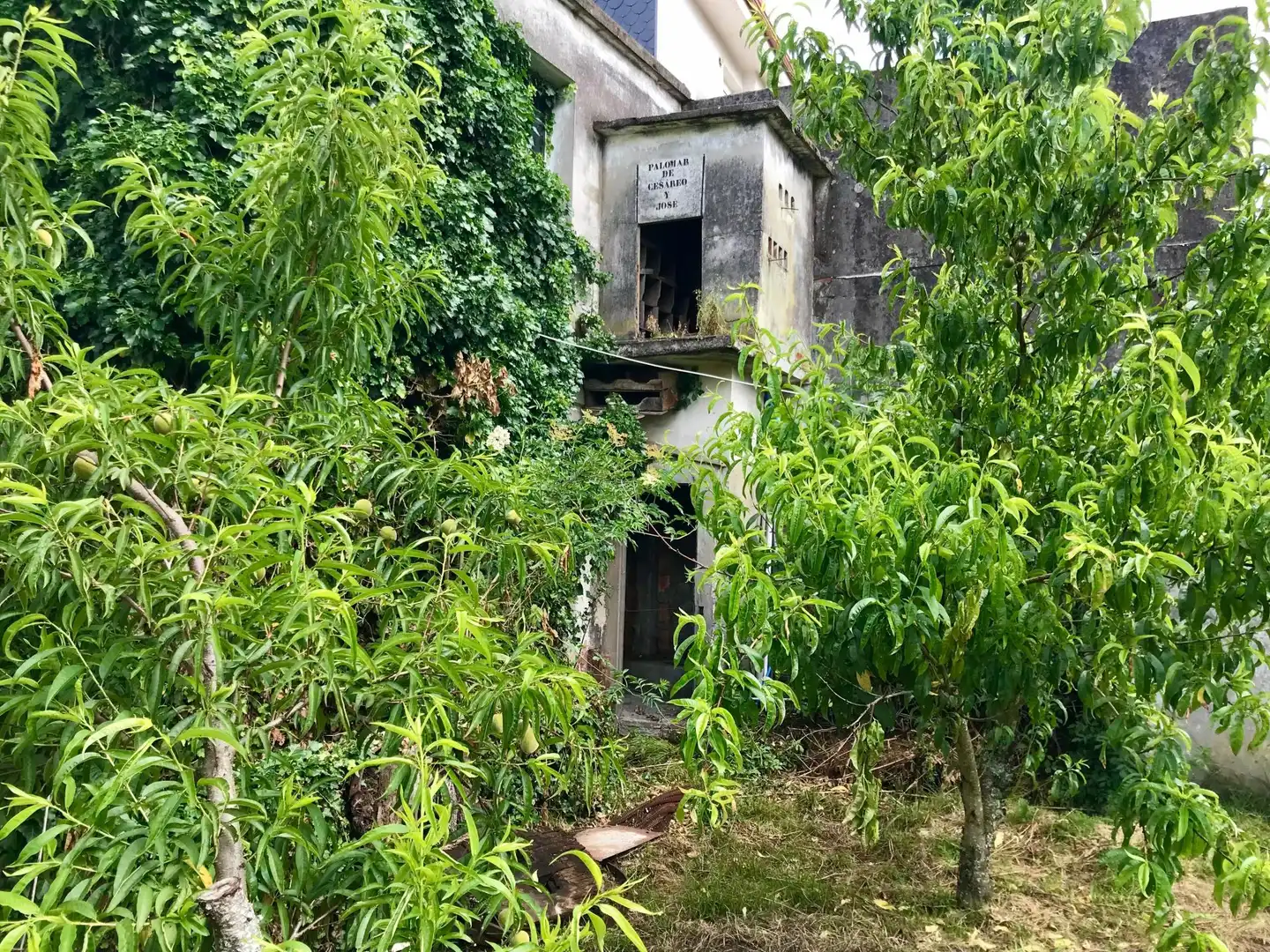 Vista exterior de Casa adosada en venta en Outes con Terraza y Balcón