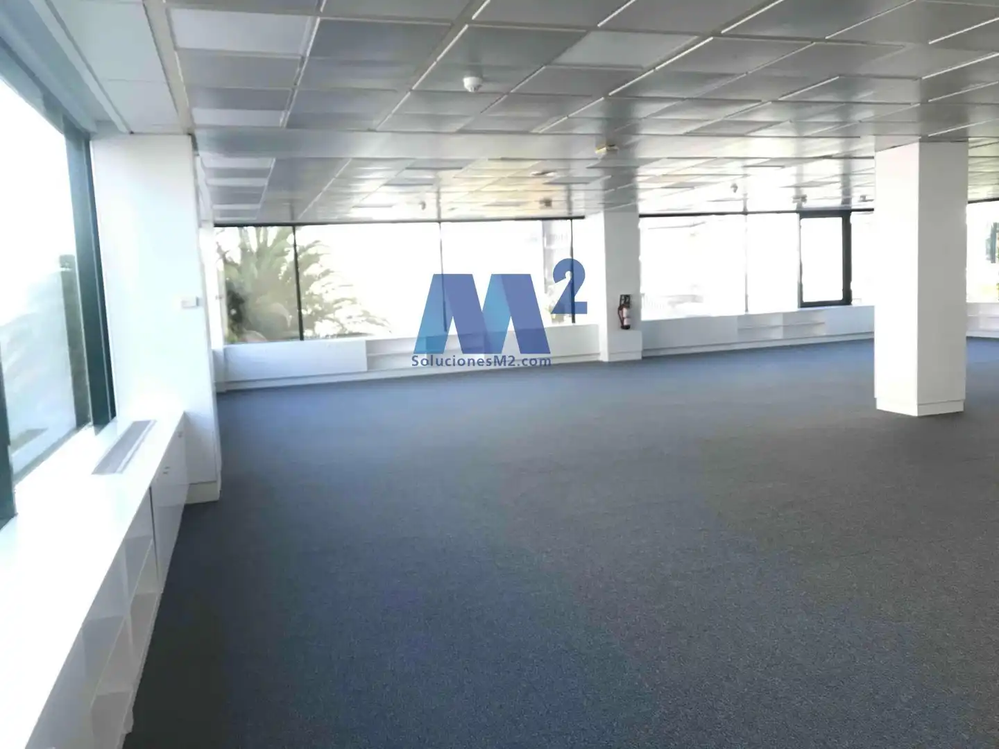 Office space to rent in Europa, imagen 4