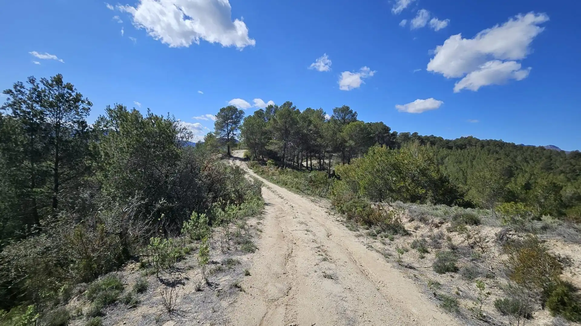 Terrain rustique à vendre à Millena, imagen 25