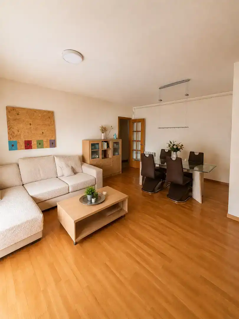Living room of Flat for sale in Creu Alta - Puiggener