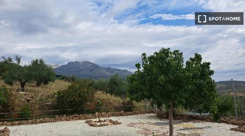 Foto 4 de Apartament per a compartir a Alozaina, Málaga