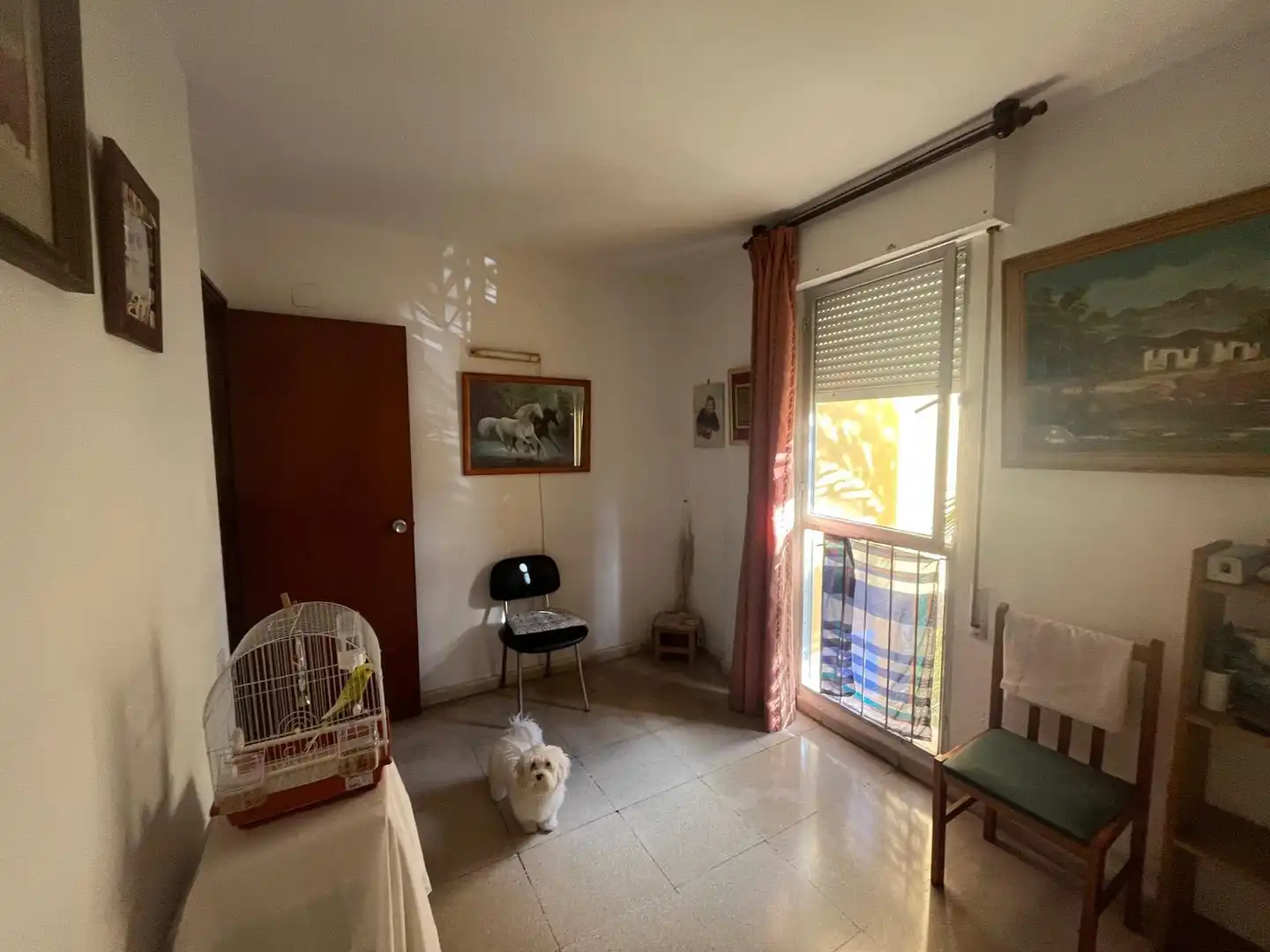 Flat with lift for sale in Llevant, imagen 3