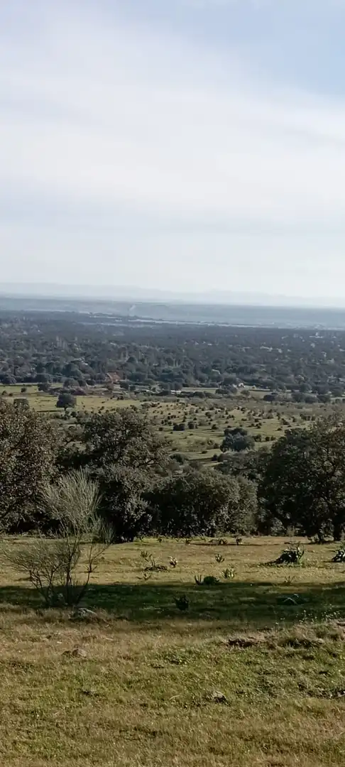 Terreni e lotti in vendita a San Román de los Montes