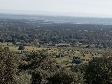 Terreno rustico in vendita a San Román de los Montes