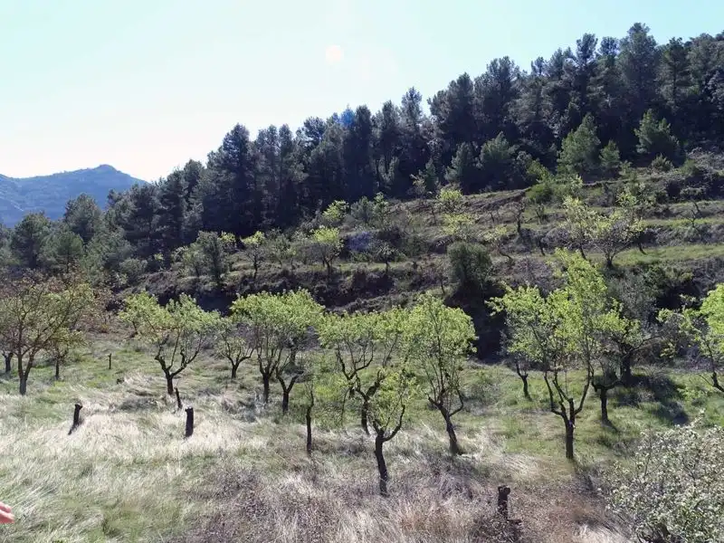 Finca rústica en venta en Beceite