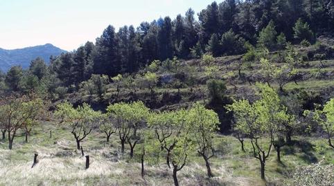 Foto 5 de Finca rústica en venda a Beceite, Teruel