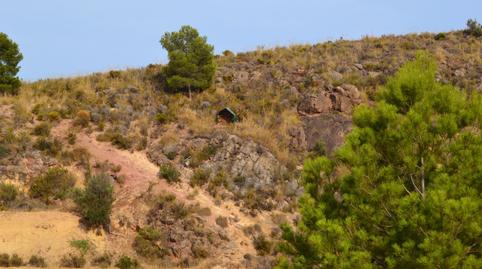 Foto 4 de Finca rústica de lloguer amb opció a compra a Polígono Polígono Industrial la Hoya, La Hoya, Lorca