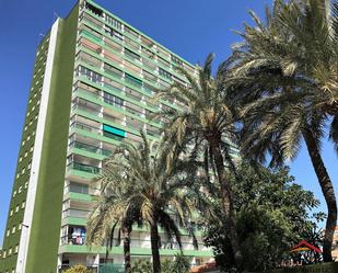 Exterior view of Apartment to rent in La Pobla de Farnals  with Air Conditioner and Terrace