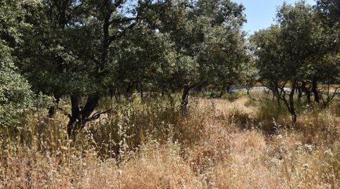 Photo 4 of Residential for sale in Jardín de los Reyes - Parque Real, Madrid