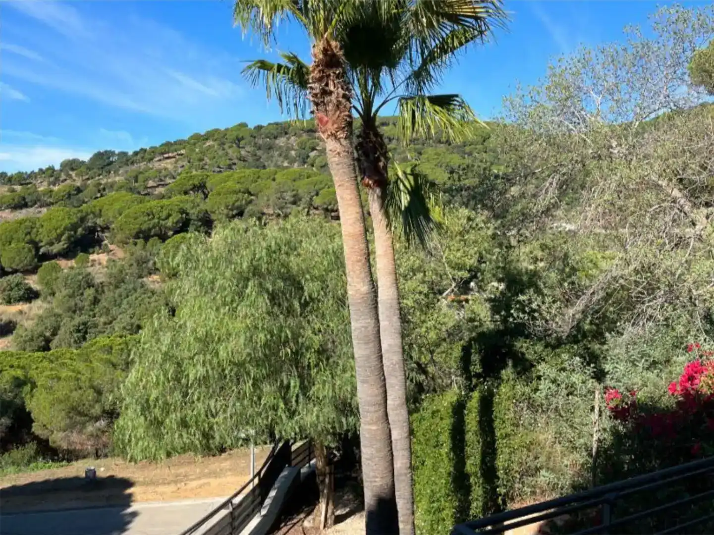 Jardí de Casa o xalet en venda en Sant Pol de Mar amb Aire condicionat, Piscina i Balcó