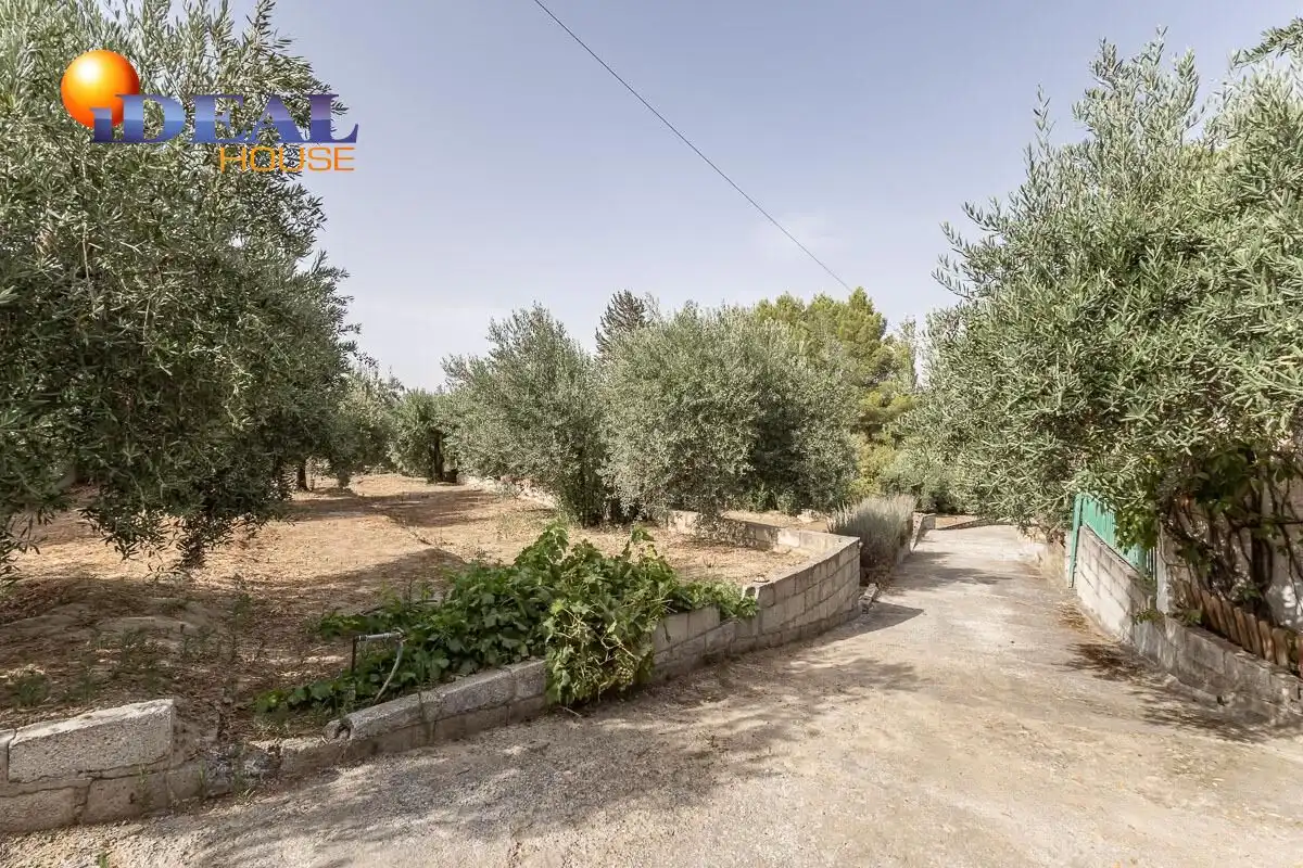 Xalet amb piscina en venda a Aljomahima - Ermita, imagen 12