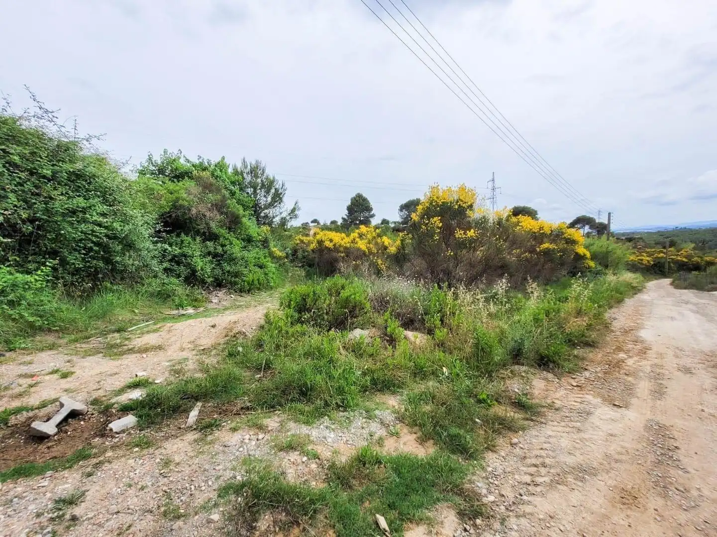 Terreno rústico en venta en Castellbisbal, imagen 24
