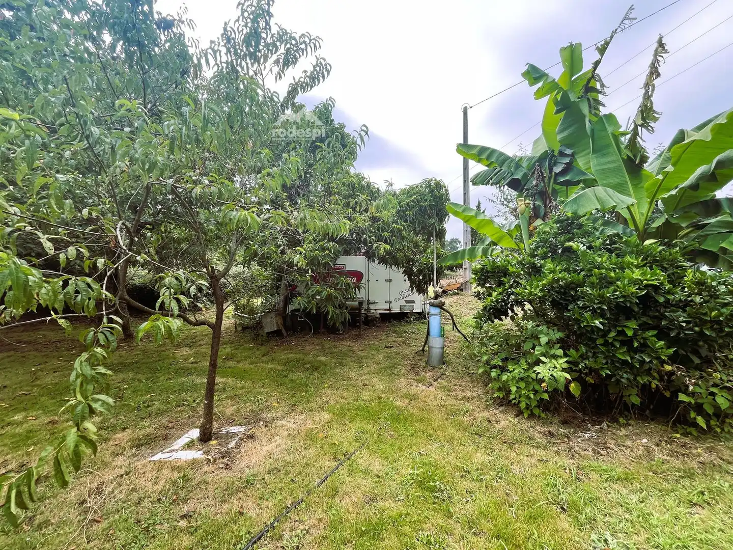 Rural land for sale in Covelo, imagen 9